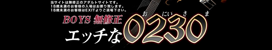 エッチな0230の安全性を徹底検証「ノンケの流儀.com」